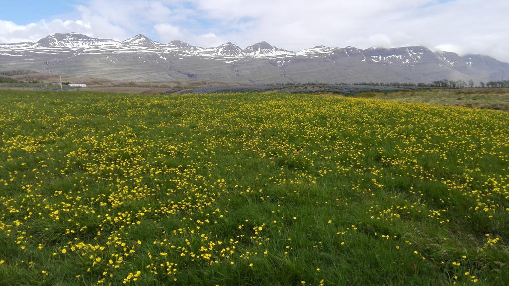 Hotel Stadarborg Breiðdalsvík Dış mekan fotoğraf